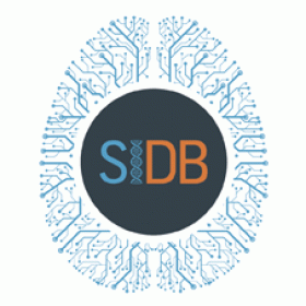 Simons Initiative for the Developing Brain logo